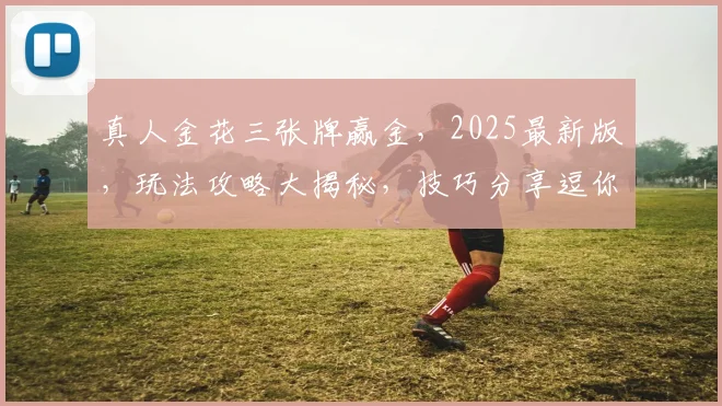 真人金花三张牌赢金，2025最新版，玩法攻略大揭秘，技巧分享逗你赢金