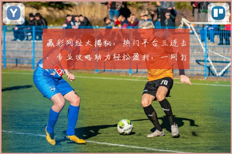 赢彩网址大揭秘，热门平台三连击，专业攻略助力轻松盈利，一网打尽