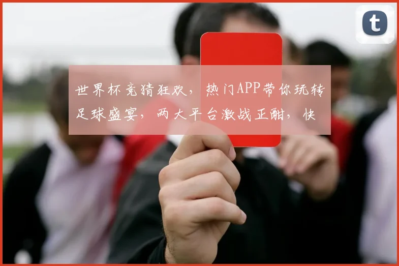 世界杯竞猜狂欢，热门APP带你玩转足球盛宴，两大平台激战正酣，快来参与