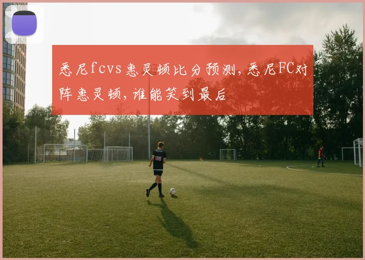 悉尼fcvs惠灵顿比分预测,悉尼FC对阵惠灵顿,谁能笑到最后