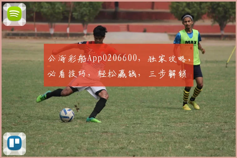 公海彩船App0206600，独家攻略，必看技巧，轻松赢钱，三步解锁